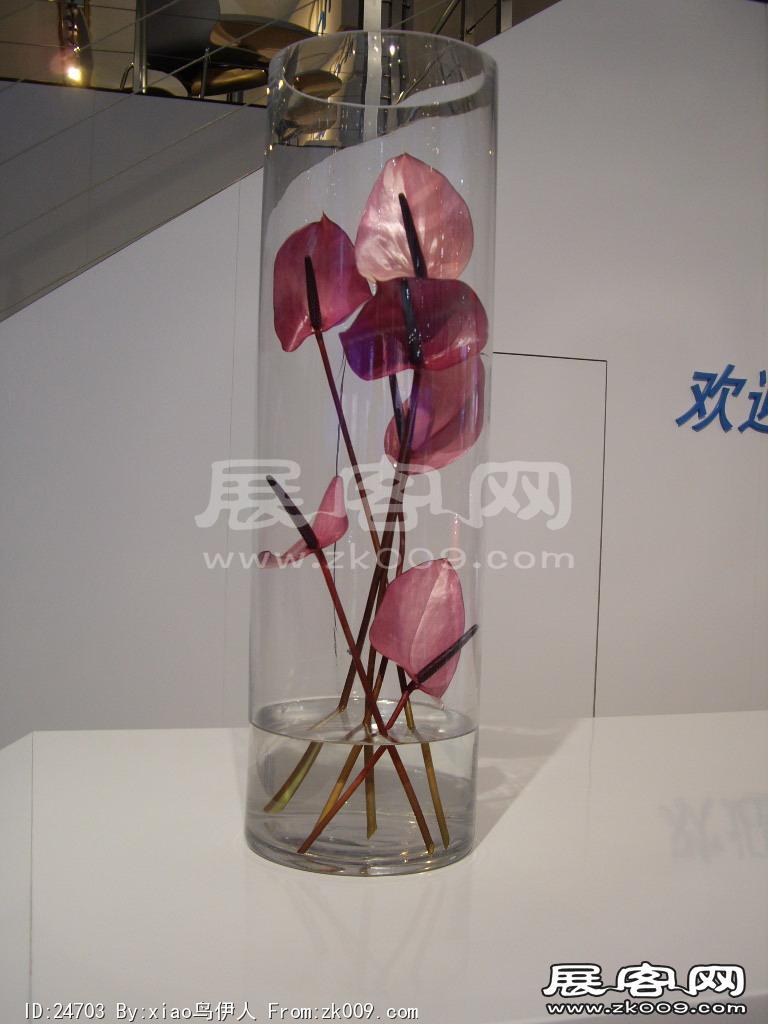 车展