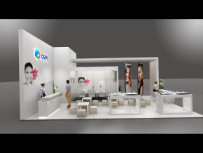 DSM展览模型