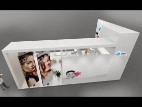 DSM展览模型