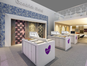 Goodrich展览模型