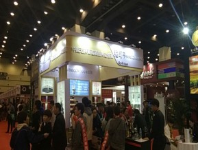 2019第二十三届郑州糖酒展