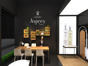 Aspray展览模型
