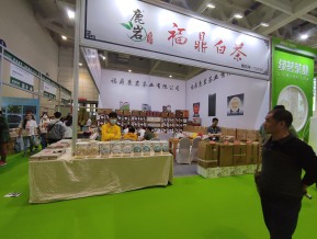 济南茶博会和糖酒会
