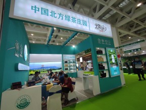 济南茶博会和糖酒会