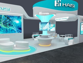 海思haisi