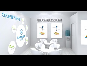 力凡胶囊展览模型