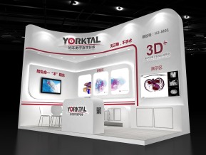 旭东医学展览模型