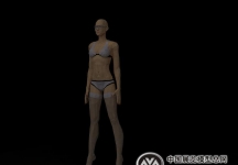 内衣美女模特