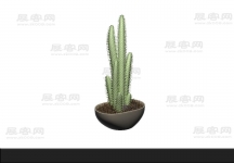 盆景 3d模型
