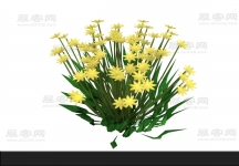 花3D模型