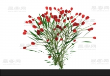 花3D模型