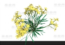 花3D模型
