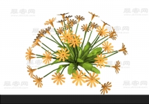花3D模型