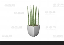 仙人掌 3d模型