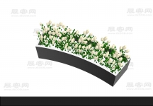 花卉3D模型