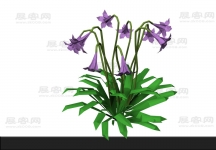 花3D模型