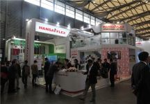 宝马展51-100