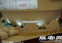 China Beauty,SNEC(二)