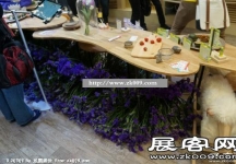 China Beauty,SNEC(一）