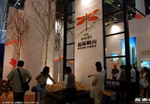 2008大连夏季房交会(一）