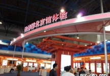 13届中国北京国际科技产业博览会(一）