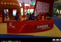 成都2013第十四届中国西部国际博览会(二)