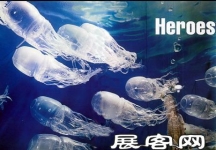 中外橱窗合集（二）