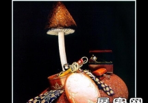 中外橱窗合集（三）