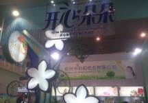 2014成都纸展2
