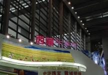 2013深圳文博会(一)