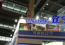 2013深圳文博会(二)