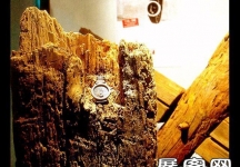 中外橱窗合集（三）