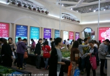 2014成都春节房交会3