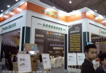 2014成都春节房交会1