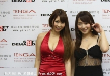 2014上海成人展