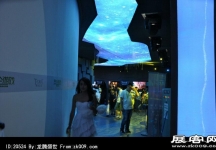 2014上海游戏展（三)
