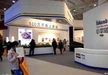 2010春季大连房交会照片
