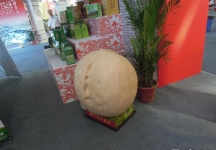 西安2013年9月旅游展、房展会B馆