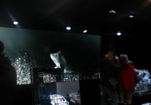 车展图片