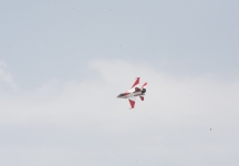 新加坡航空展