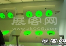 美国CES2011现场