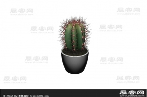 仙人掌 3d模型