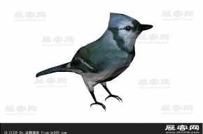 小鸟3D模型