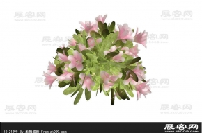 花3D模型
