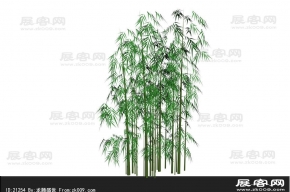 3D竹子模型