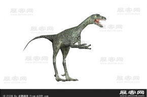 恐龙3D模型