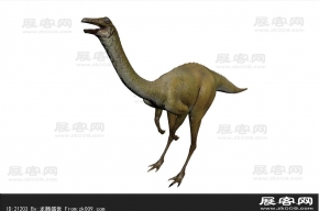 恐龙3D模型