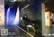 安哥拉馆-木雕土著小屋