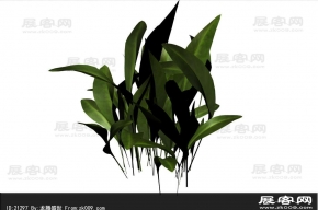 植物3D模型