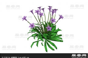花 3d模型